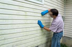 Best Siding Maintenance  in Huntington, WV